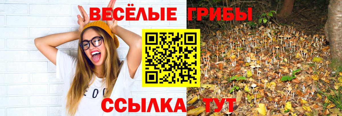 Псилоцибиновые грибы MAGIC MUSHROOMS Гай