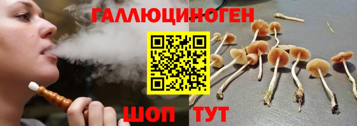 Гай  Псилоцибиновые грибы Psilocybine cubensis  Вход с VPN  Псилоцибиновые грибы GOLDEN TEACHER 